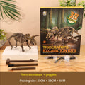 Dinosaur Excavation Kit