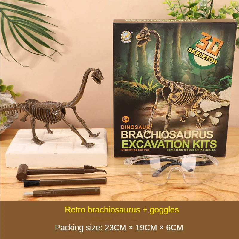 Dinosaur Excavation Kit
