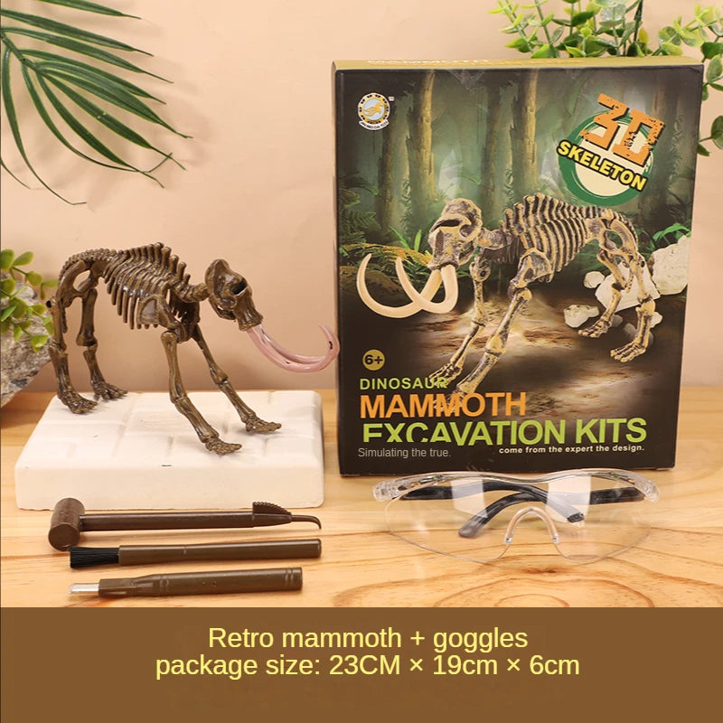 Dinosaur Excavation Kit