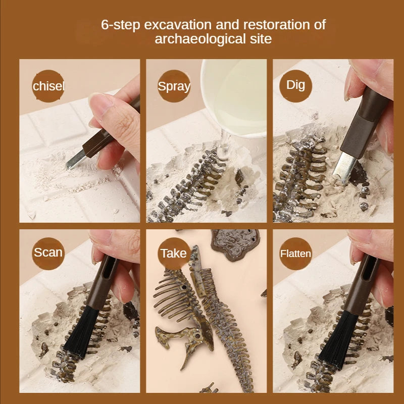 Dinosaur Excavation Kit