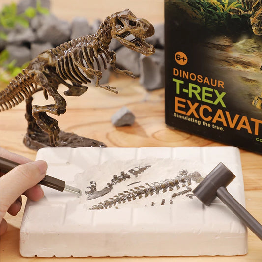 Dinosaur Excavation Kit
